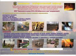 Безымянный2